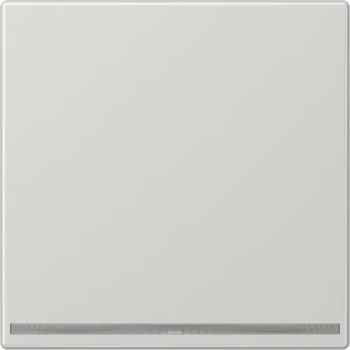 JUNG LS 1539-OO LG LNW LED-orientatieverlichting zonder lichtsensor LS990 lichtgrijs