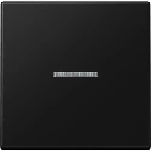 JUNG A 101 KO5 BF SWM schakelwip met controlevenster voor HOME draadloze schakelaar A-range grafietzwart mat