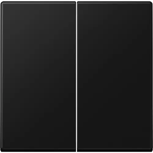 JUNG A 1702 BF SWM dimmerknop 2-voudig serietastdimmer A-range grafietzwart mat