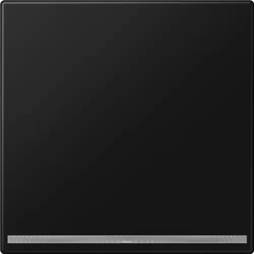JUNG LS 1539-OO SWM LNW LED-orientatieverlichting zonder lichtsensor LS990 grafietzwart mat