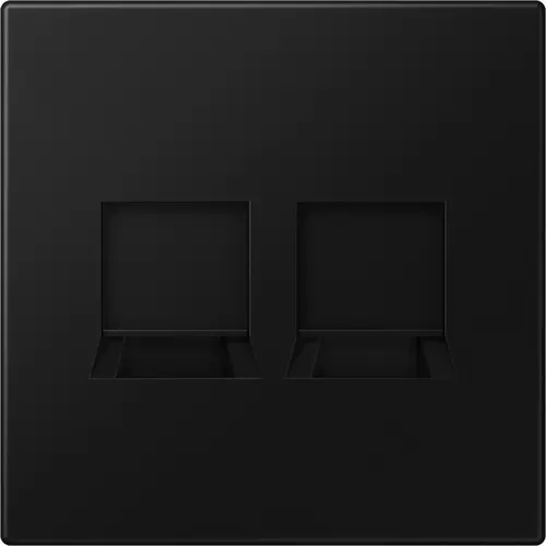 JUNG LS 1969-2 WE SWM centraalplaat met draagring 2-voudig voor modulair jack LS990 grafietzwart mat