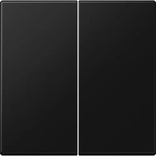 JUNG LS 995 SWM schakelwip 2-voudig LS990 grafietzwart mat