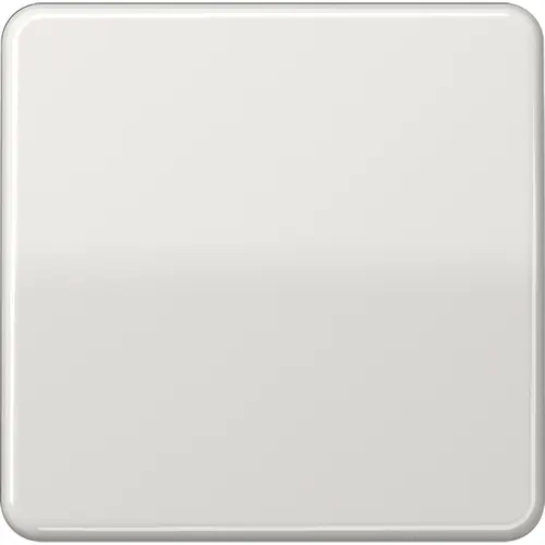 JUNG CD 1700 LG dimmerknop 1-voudig tastdimmer CD500 lichtgrijs