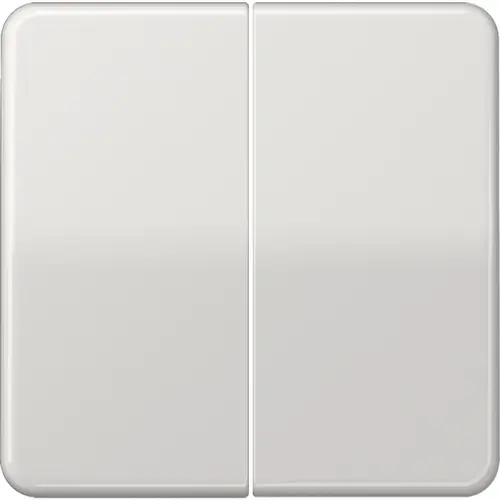 JUNG CD 1702 LG dimmerknop 2-voudig serietastdimmer CD500 lichtgrijs