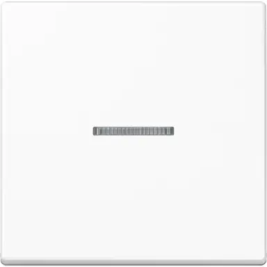 JUNG A 101 KO5 BF WW schakelwip met controlevenster voor HOME draadloze schakelaar A-range alpine wit