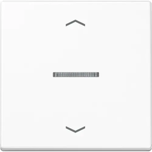 JUNG A 101 KO5P BF WW schakelwip met controlevenster en pijlsymbolen voor HOME draadloze schakelaar A-range alpine wit