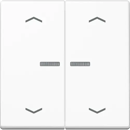 JUNG A 102 KO5P BF WW schakelwip 2-voudig met controlevenster en pijlsymbolen voor HOME draadloze schakelaar A-range alpine wit