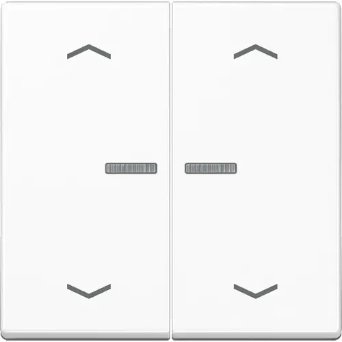 JUNG A 102 KO5P WW schakelwip 2-voudig met controlevenster en pijlsymbolen voor HOME draadloze schakelaar A-range alpine wit