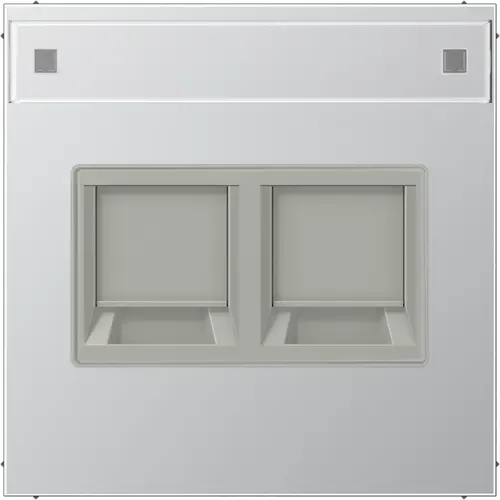 JUNG AL 1969-2 NA WE centraalplaat 2-voudig modular-jack tekstvenster LS990 aluminium