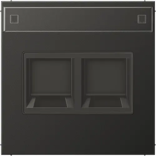 JUNG AL 1969-2 NA WE AN centraalplaat 2-voudig modular-jack tekstvenster LS990 antraciet gelakt aluminium