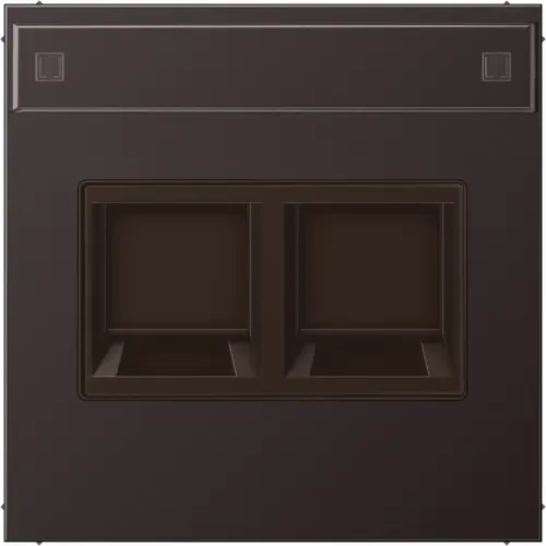 JUNG AL 1969-2 NA WE D centraalplaat 2-voudig modular-jack tekstvenster LS990 dark gelakt aluminium
