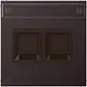 JUNG AL 1969-2 NA WE D centraalplaat 2-voudig modular-jack tekstvenster LS990 dark gelakt aluminium