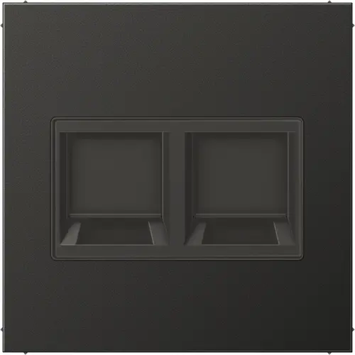 JUNG AL 1969-2 WE AN centraalplaat met draagring 2-voudig voor modulair jack LS990 antraciet gelakt aluminium