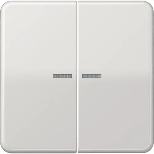 JUNG CD 102 KO5 LG schakelwip 2-voudig met controlevenster voor HOME draadloze schakelaar CD500 lichtgrijs