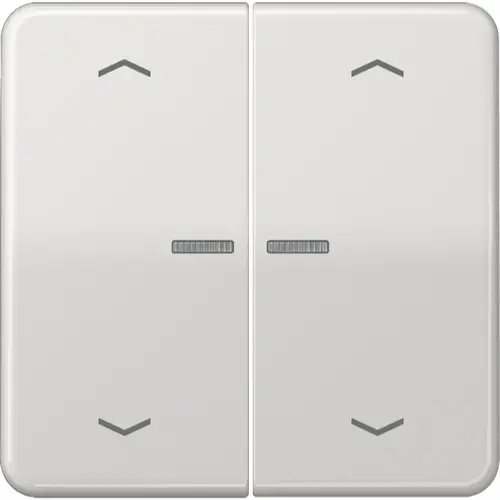 JUNG CD 102 KO5P LG schakelwip 2-voudig met controlevenster en pijlsymbolen voor HOME draadloze schakelaar CD500 lichtgrijs