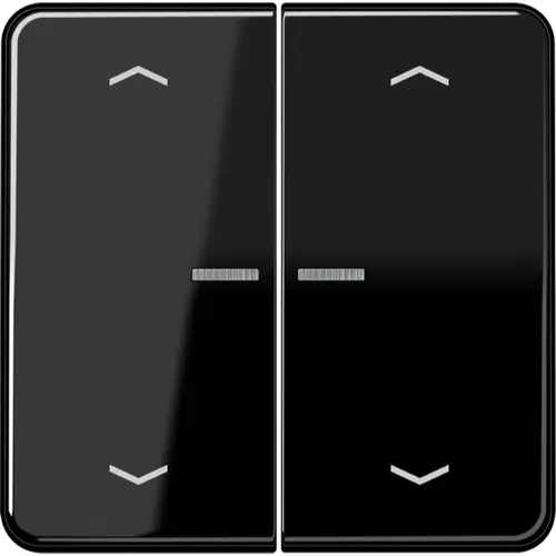 JUNG CD 102 KO5P SW schakelwip 2-voudig met controlevenster en pijlsymbolen voor HOME draadloze schakelaar CD500 zwart glans