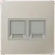 JUNG ES 1969-2 WE centraalplaat met draagring 2-voudig voor modulair jack LS990 edelstaal