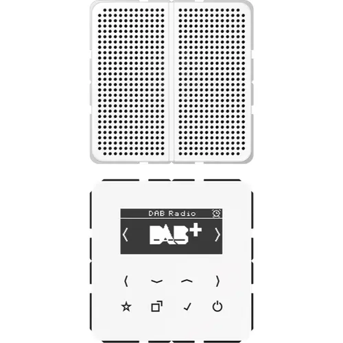 JUNG DAB CD1 WW smart radio DAB+ set met 1 luidspreker CD500 alpine wit