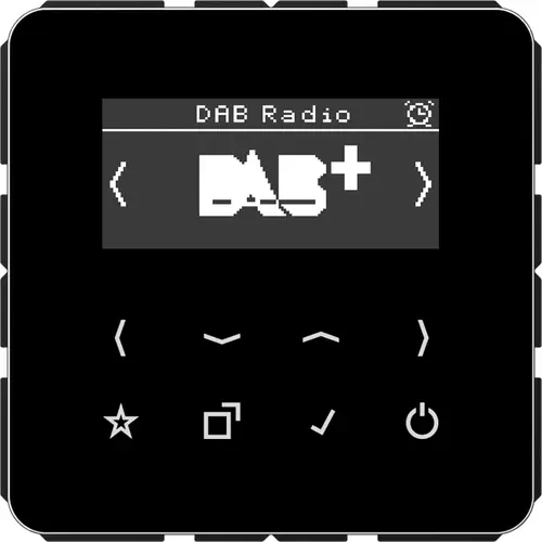 JUNG DAB CD SW smart radio DAB+ zonder luidspreker CD500 zwart glans