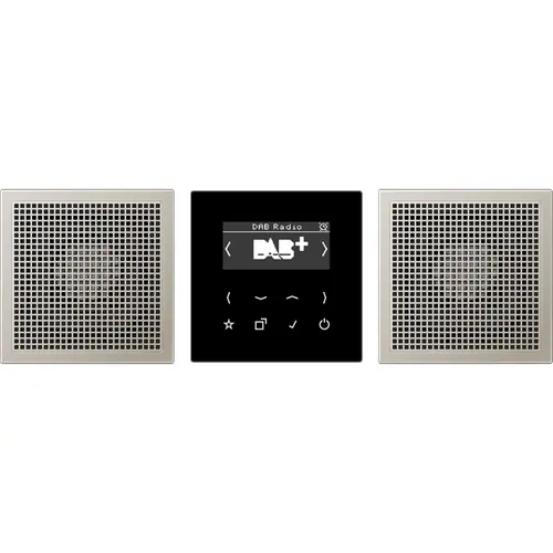 JUNG DAB ES2 smart radio DAB+ set met 2 luidsprekers LS990 edelstaal