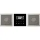 JUNG DAB ES2 smart radio DAB+ set met 2 luidsprekers LS990 edelstaal