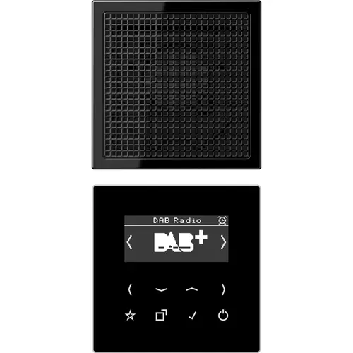 JUNG DAB LS1 SW smart radio DAB+ set met 1 luidspreker LS990 zwart glans