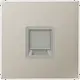 JUNG ES 1969-1 WE centraalplaat met draagring 1-voudig voor modulair jack LS990 edelstaal