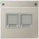 JUNG ES 1969-2 NA WE centraalplaat 2-voudig modular-jack tekstvenster LS990 edelstaal