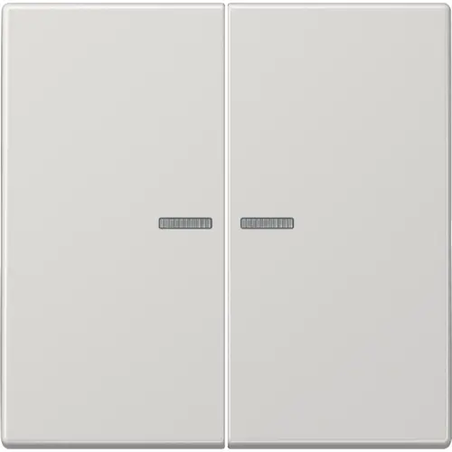 JUNG LS 102 KO5 LG schakelwip 2-voudig met controlevenster voor HOME draadloze schakelaar LS990 lichtgrijs