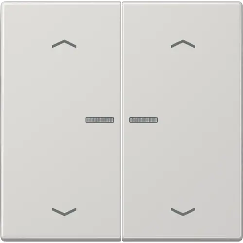 JUNG LS 102 KO5P LG schakelwip 2-voudig met controlevenster en pijlsymbolen voor HOME draadloze schakelaar LS990 lichtgrijs