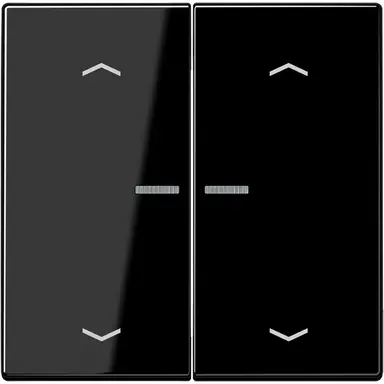 JUNG LS 102 KO5P SW schakelwip 2-voudig met controlevenster en pijlsymbolen voor HOME draadloze schakelaar LS990 zwart glans