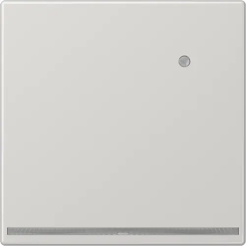 JUNG LS 1539-O LG LNW LED-orientatieverlichting met geïntegreerde lichtsensor LS990 lichtgrijs