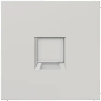JUNG LS 1969-1 WE LG centraalplaat met draagring 1-voudig voor modulair jack LS990 lichtgrijs
