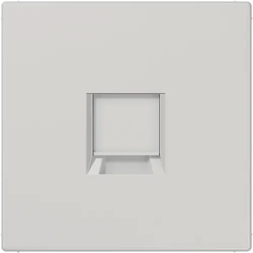 JUNG LS 1969-1 WE LG centraalplaat met draagring 1-voudig voor modulair jack LS990 lichtgrijs