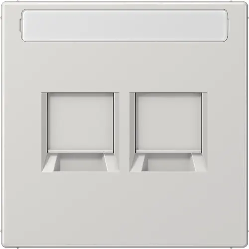JUNG LS 1969-2 NA WE LG centraalplaat 2-voudig modular-jack tekstvenster LS990 lichtgrijs