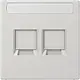 JUNG LS 1969-2 NA WE LG centraalplaat 2-voudig modular-jack tekstvenster LS990 lichtgrijs