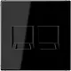 JUNG LS 1969-2 WE SW centraalplaat met draagring 2-voudig voor modulair jack LS990 zwart glans