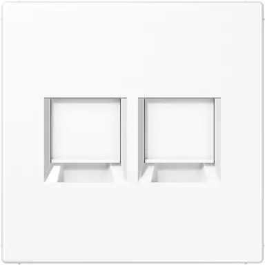 JUNG LS 1969-2 WE WW centraalplaat met draagring 2-voudig voor modulair jack LS990 alpine wit