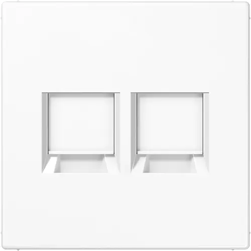 JUNG LS 1969-2 WE WW centraalplaat met draagring 2-voudig voor modulair jack LS990 alpine wit