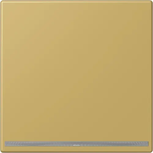 JUNG ME 1539-OO C LNW LED-orientatieverlichting zonder lichtsensor LS990 messing klassiek