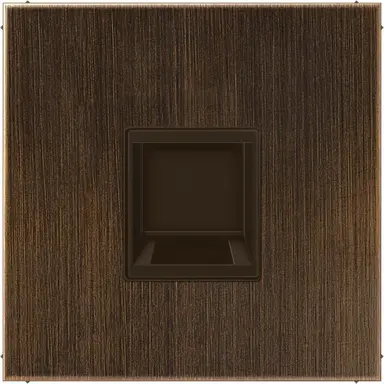 JUNG ME 1969-1 WE AT centraalplaat met draagring 1-voudig voor modulair jack LS990 messing antiek