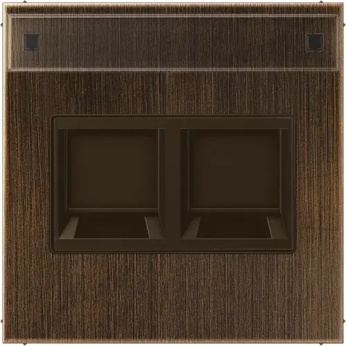 JUNG ME 1969-2 NA WE AT centraalplaat 2-voudig modular-jack tekstvenster LS990 messing antiek