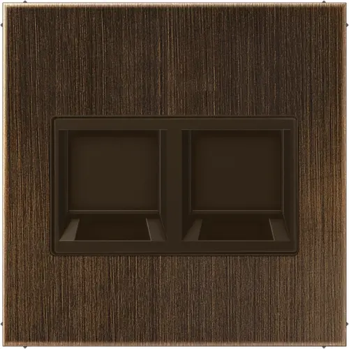 JUNG ME 1969-2 WE AT centraalplaat met draagring 2-voudig voor modulair jack LS990 messing antiek