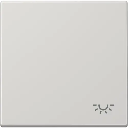 JUNG LS 990 L LG schakelwip met lichtsymbool LS990 lichtgrijs