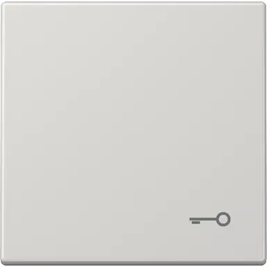 JUNG LS 990 T LG schakelwip met sleutelsymbool LS990 lichtgrijs