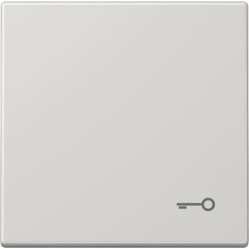 JUNG LS 990 T LG schakelwip met sleutelsymbool LS990 lichtgrijs