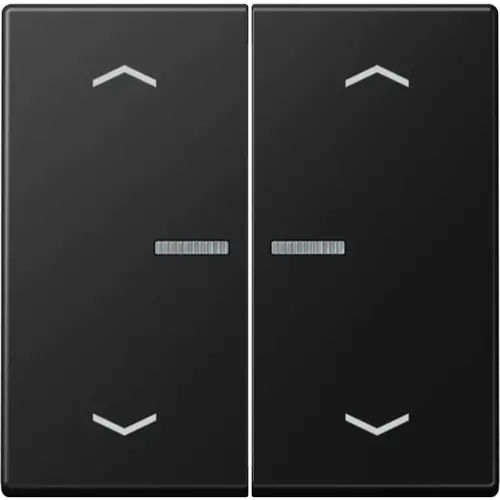 JUNG A 102 KO5P BF SWM schakelwip 2-voudig met controlevenster en pijlsymbolen voor HOME draadloze schakelaar A-range grafietzwart mat