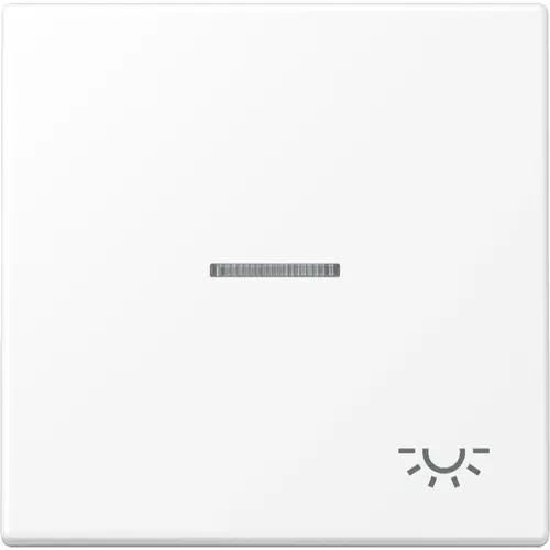JUNG LS 990 KO5 L WWM schakelwip met lichtsymbool en controlevenster LS990 sneeuwwit mat