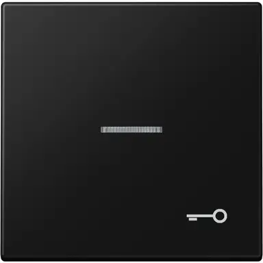 JUNG LS 990 KO5 T SWM schakelwip met sleutelsymbool en controlevenster LS990 grafietzwart mat