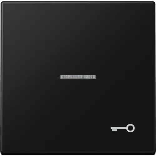 JUNG LS 990 KO5 T SWM schakelwip met sleutelsymbool en controlevenster LS990 grafietzwart mat